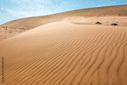 Endless sand waves on sand dunes of Namib Desert