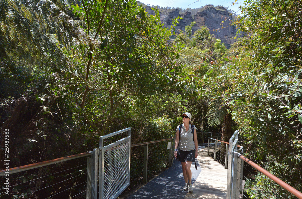 Woman walks on a path in the rainforest of Jamison Valley Blue M