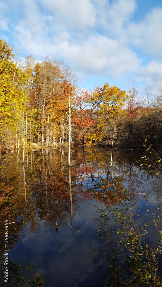 Fall in New York