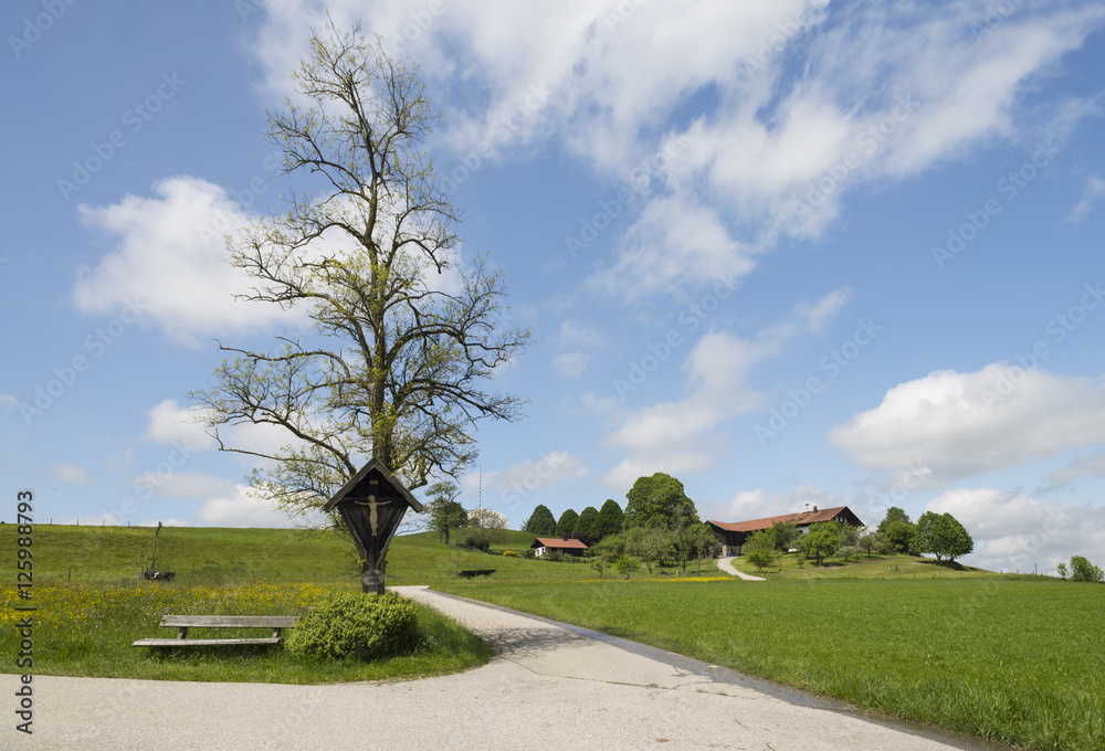 Bildstock vor einem alten Baum umgeben von blühenden Wiesen vor Bayernhof,Bayern,Deutschland