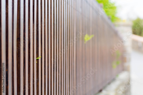 Macro shot of wooden fence with a small leaf in focus