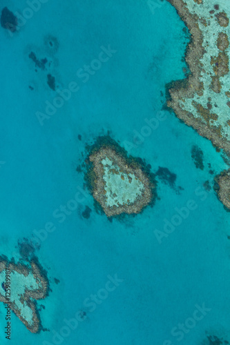Heart Reef  Great Barrier Reef  Australia
