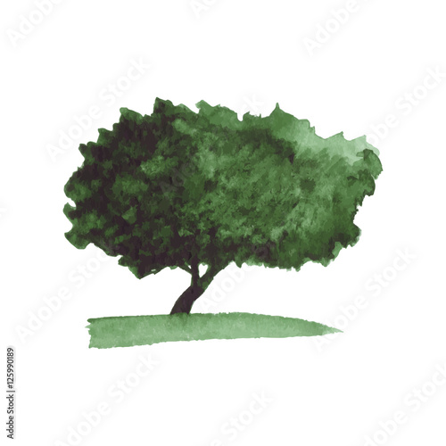 Abstract watercolor tree in green colors on white background. Vector Illustration.