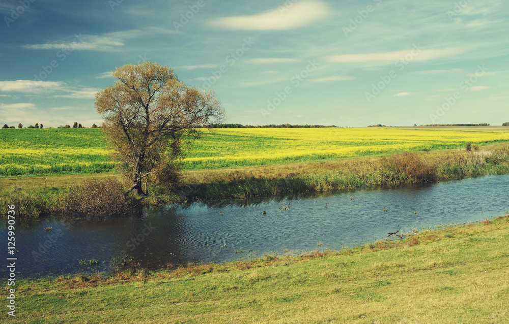 summer landscape with river summer landscape with river