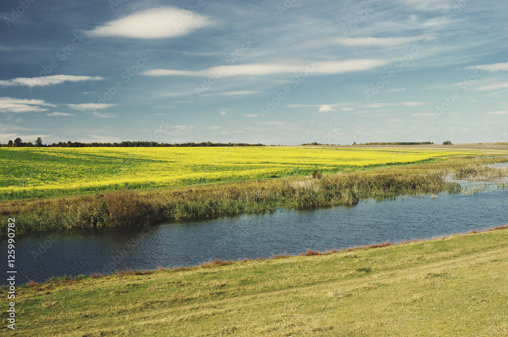 Fototapeta premium summer landscape with river