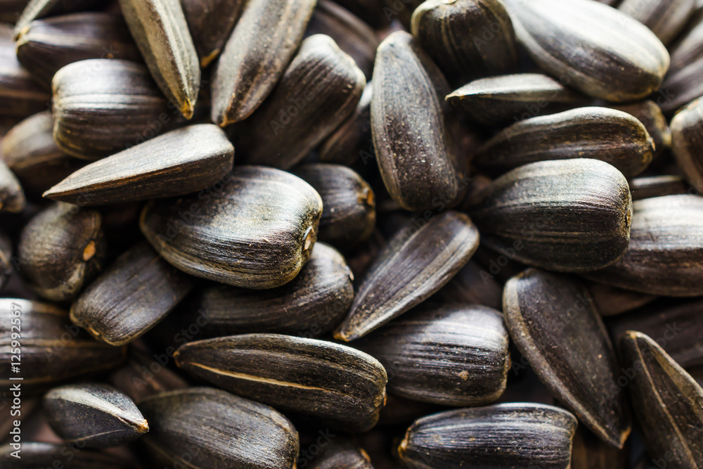 Sunflower seeds. A handful of background for texture Sunflower seeds. A handful of background for texture