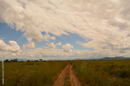 Weg in Tansania