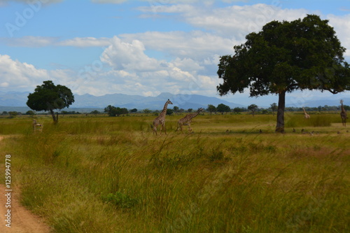 Weg in Tansania