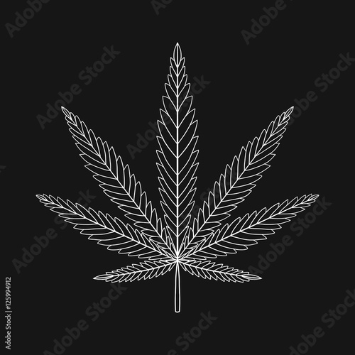 Decorative Cannabis leaf isolated. Marijuana leaf silhouette. Ve