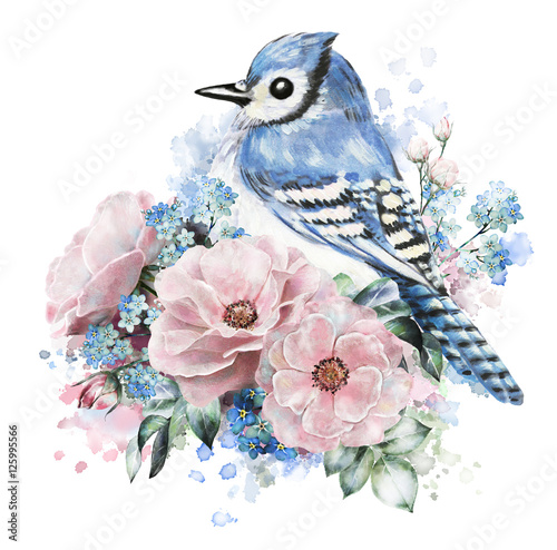 watercolor flowers, rose with me-nots and blue jay. floral illustration, in Pastel colors. branch of flowers isolated on white background. Leaf and buds. composition for  greeting card. Splash paint photo