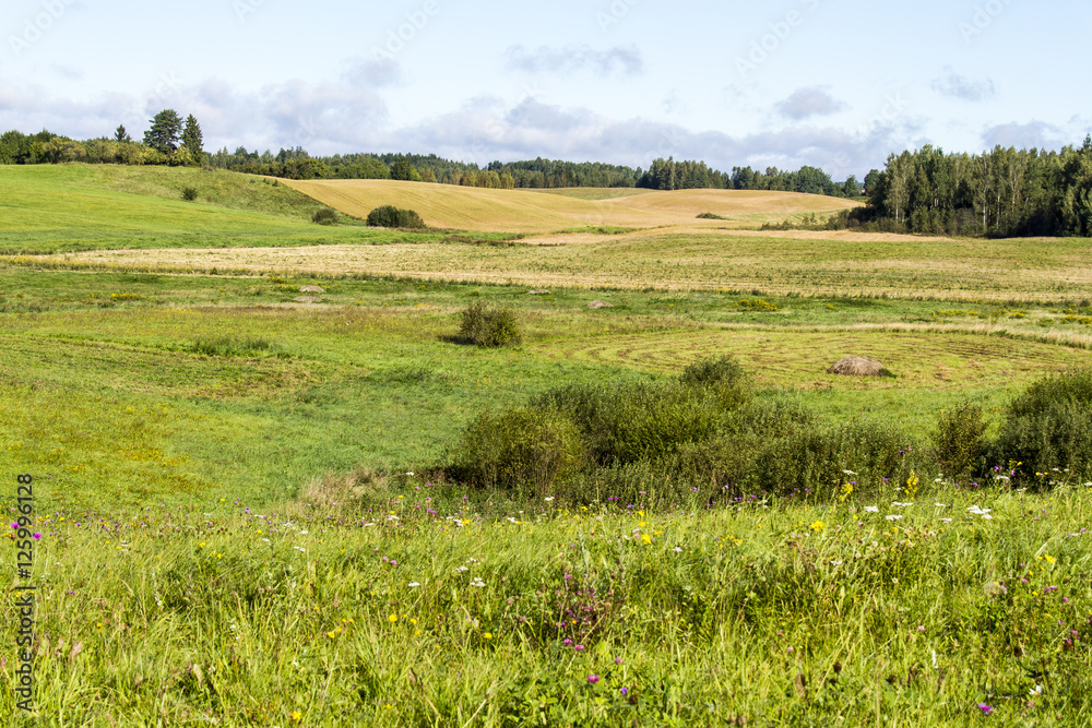 Landschaft und Felder in Lettland