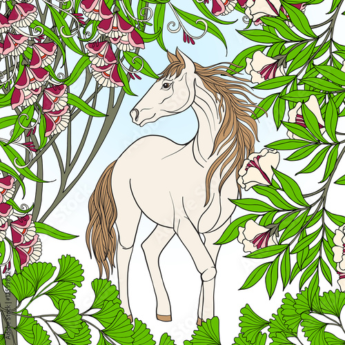 Horse in garden.