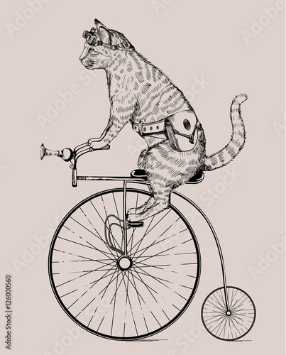 Fototapeta kot steampunk na retro rower z torbą i okularami, w stylu akwaforta, na białym tle