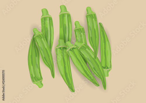 Lady fingers or okra plant fruit ,green vegetable for object or background