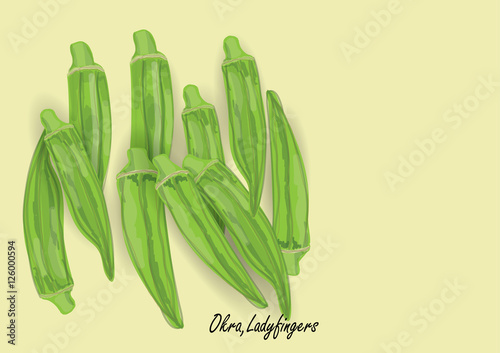 Lady fingers or okra plant fruit ,green vegetable for object or background