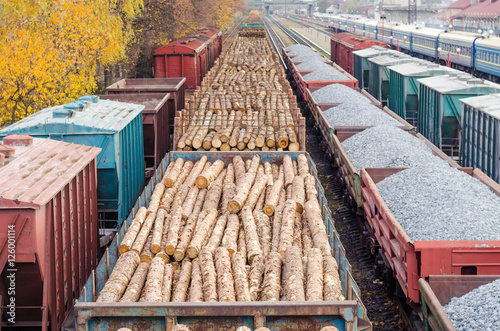 Environment, nature and deforestation forest - felling of trees. The concept of a global problem. Freight train loaded with pine trunks. © valerii kalantai