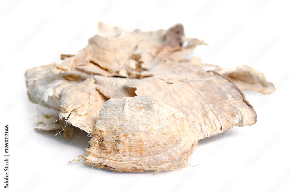 Pueraria mirifica or White Kwao Krua (Pueraria candollei Graham Pueraria mirifica or White Kwao Krua (Pueraria candollei Graham