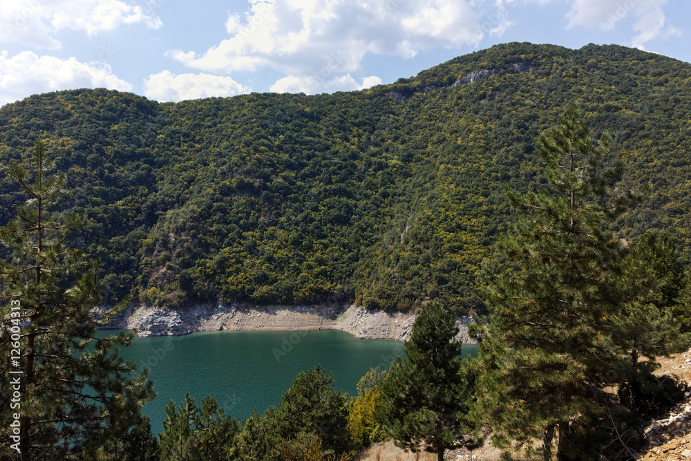 Green Forest around Vacha dam, Rhodopes Mountain, Plovdiv Region, Bulgaria