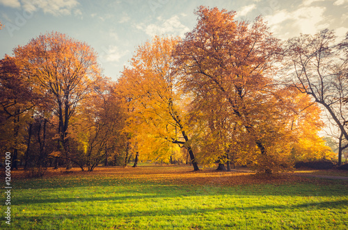 Colorful autumn park on sunny morning in Krakow, Poland
