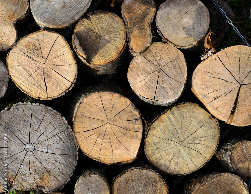 Naklejka premium wooden logs. firewoods folded together. Top view.