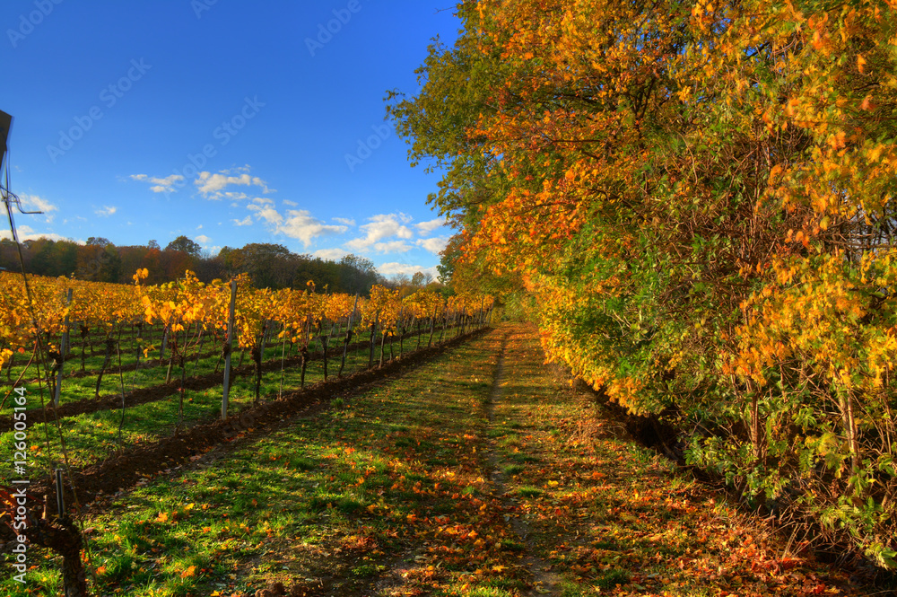 Naklejka premium Herbstlandschaft