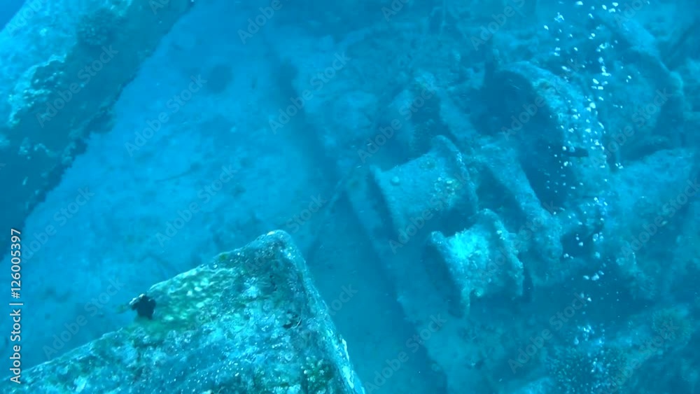 Swimming slowly over the top of Capstans the Main Mast and the entrance