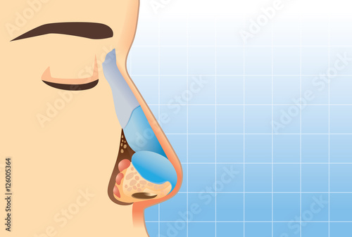 Anatomy of human nose on blue background. Illustration about inner of human nose for study and medical.