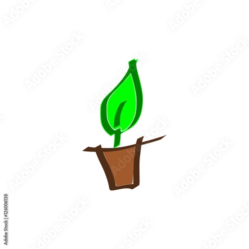 Concept plante