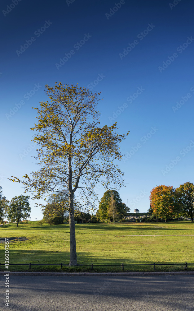 kaivopuisto city park in helsinki finland on sunny day kaivopuisto city park in helsinki finland on sunny day