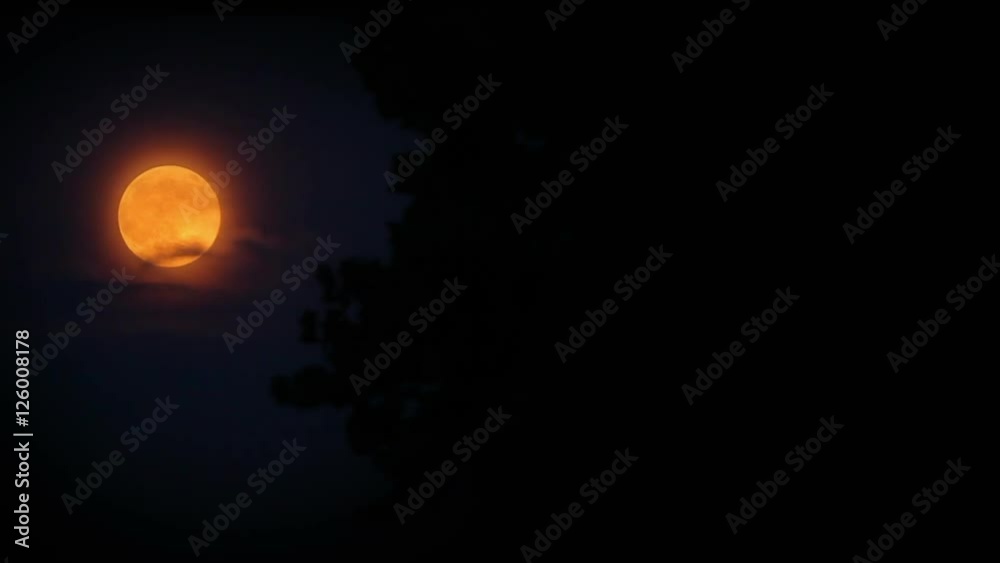 Bright Yellow full Moon with copy space Bright Yellow full Moon with copy space