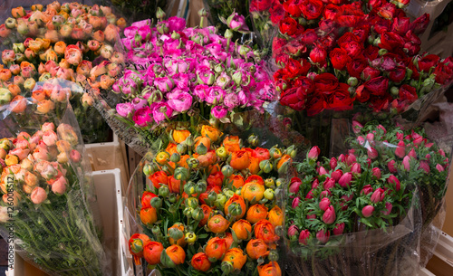 Flowers on sale in Utrecht, Netherlands photo