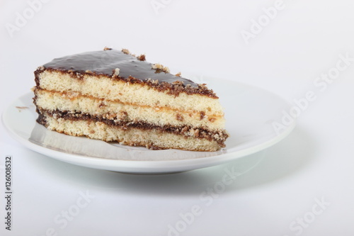 piece of delicious cake drizzled with chocolate