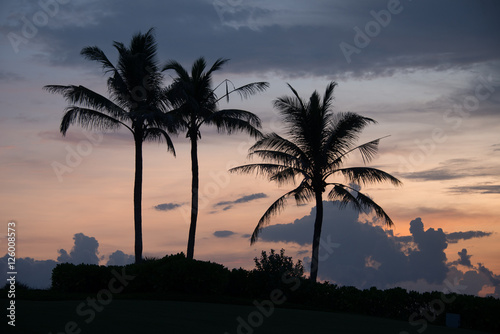 Palm trees at sunset, Tanah Lot on the island of Bali