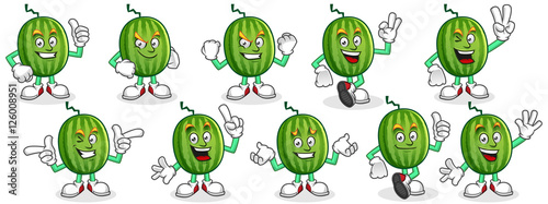 Watermelon mascot set, Watermelon character pack, vector of Watermelon cartoon.