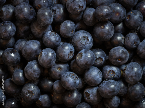 Blueberry - Fresh Blueberries close up - Organic Superfood