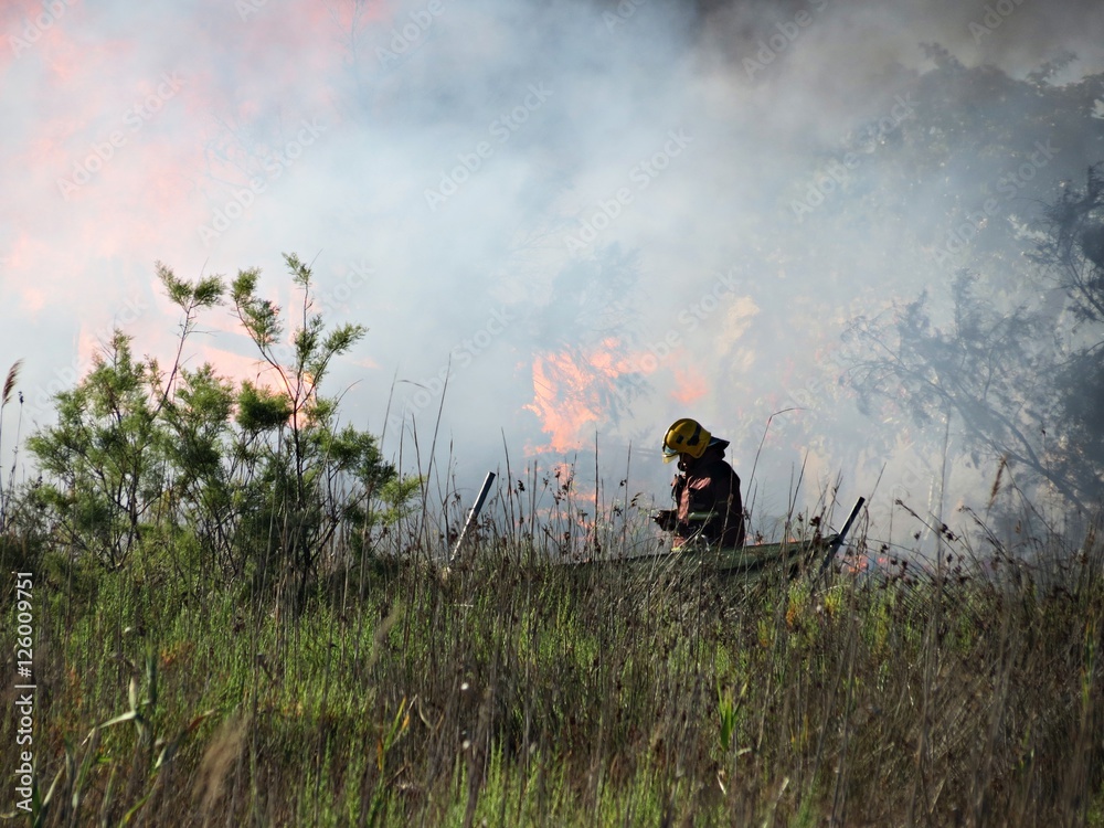Fototapeta premium Bombero en un fuego en el campo / Firefighter in a fire in the field