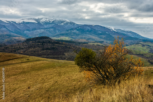 high mountains snowy peaks over meadow with yellow grass and bush on cloudy autumn day