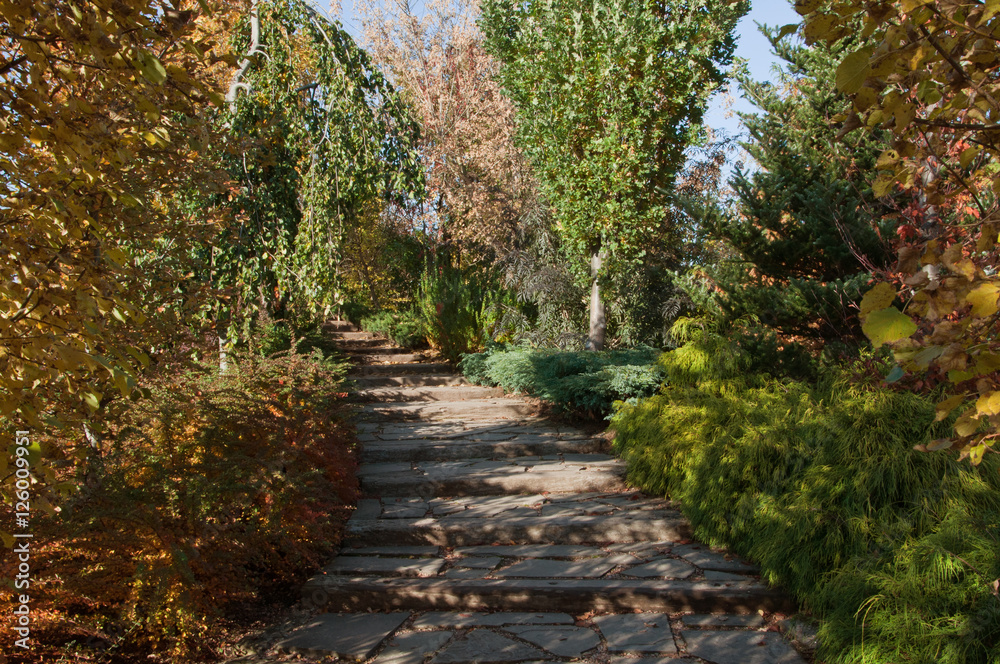 Naklejka premium jesienne alejki