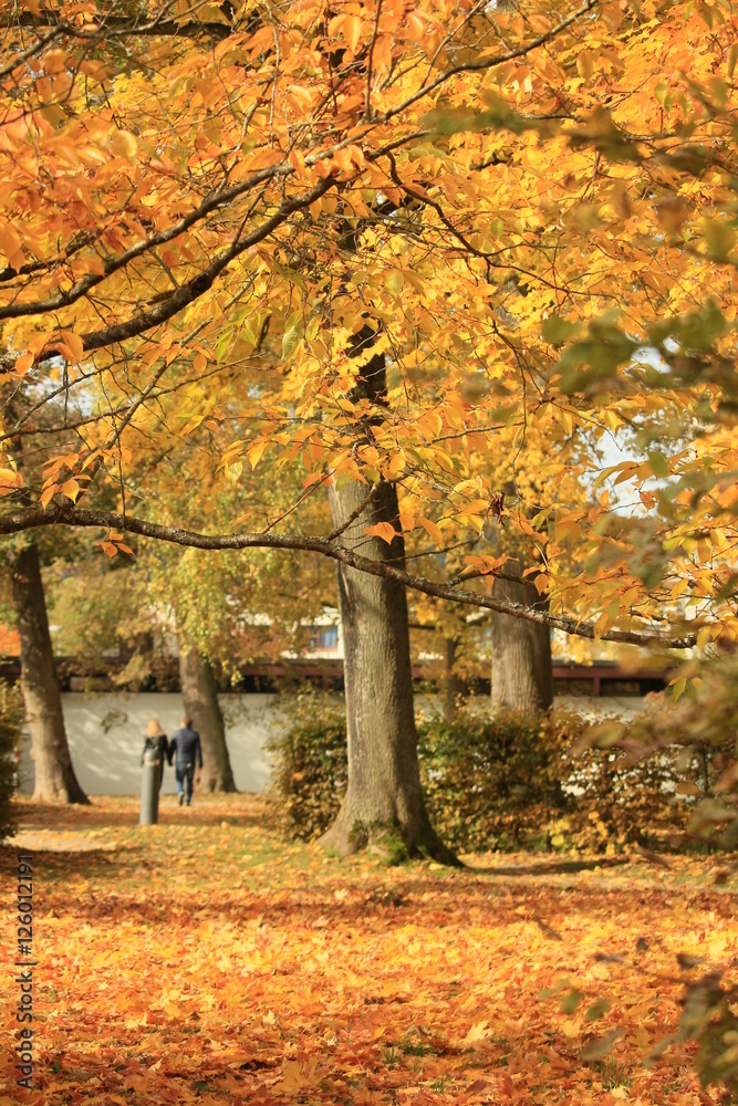 Herbstliche Landschaft - Park in Eichstätt