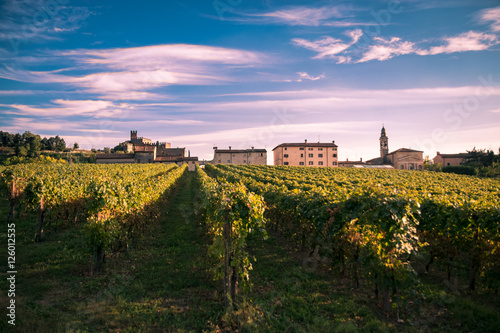 view of Soave  Italy  and its famous medieval castle