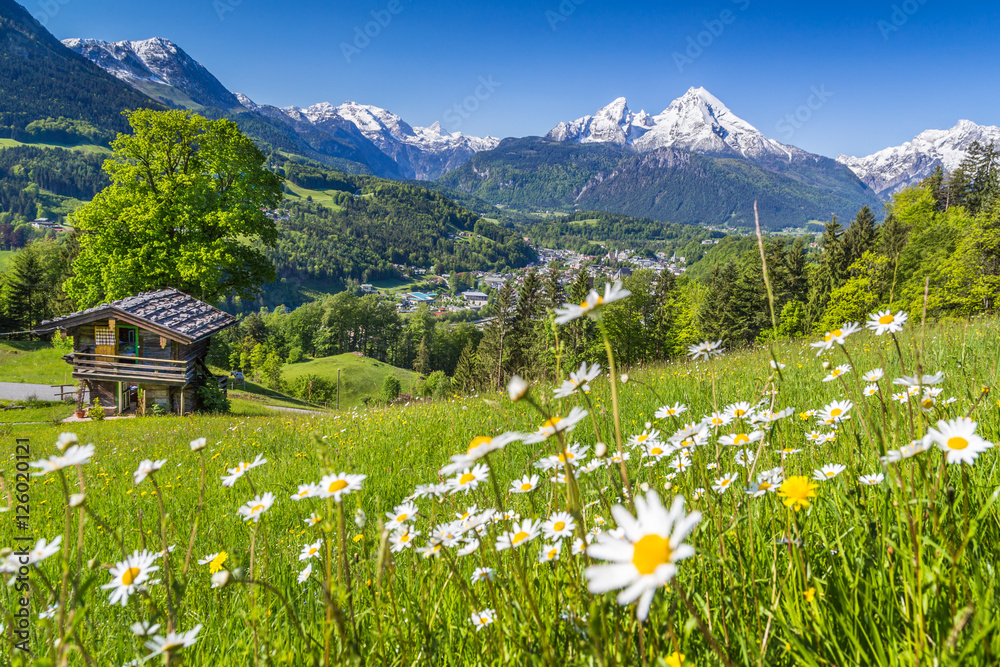 Alpine scenery with traditional mountain chalet in springtime