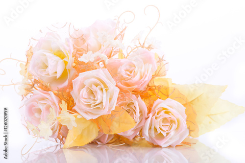 beautiful roses  isolated on the white background.