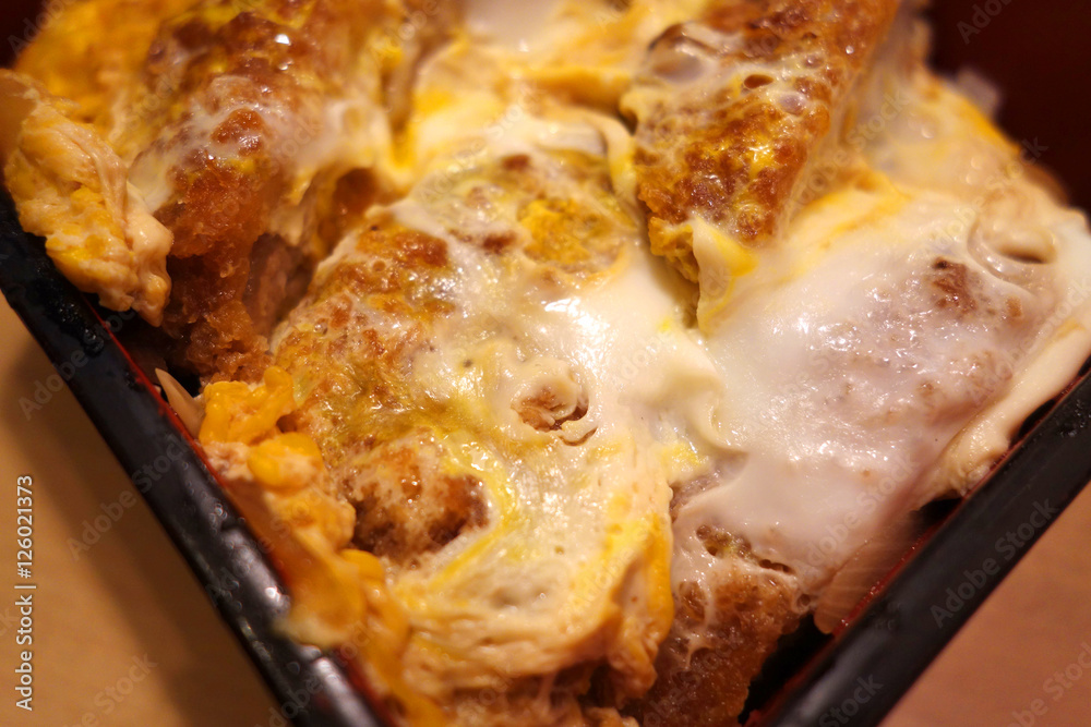 ヒレカツ丼 ヒレカツ丼
