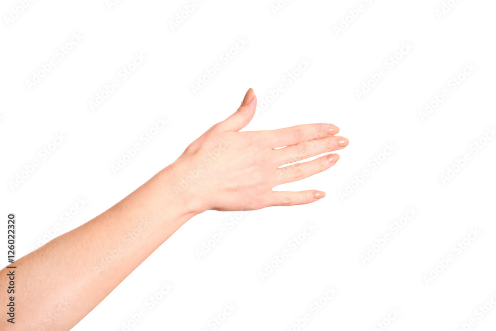 Woman open hand with french manicure