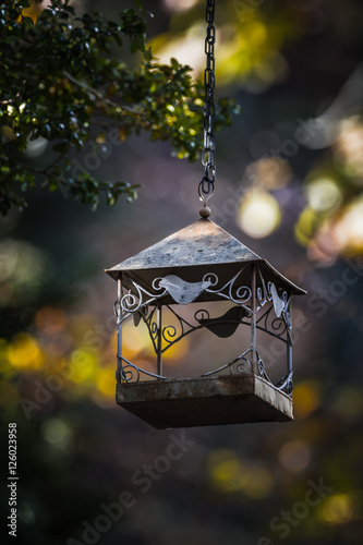 Old metal bird feeder