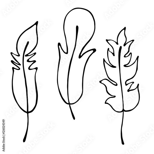 Vector hand drawn illustration, decorative ornamental stylized feather. Black and white graphic illustration isolated on the white background. Inc drawing silhouette.