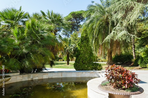 Pond in a subtropical Park