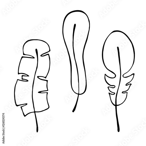 Vector hand drawn illustration, decorative ornamental stylized feather. Black and white graphic illustration isolated on the white background. Inc drawing silhouette.