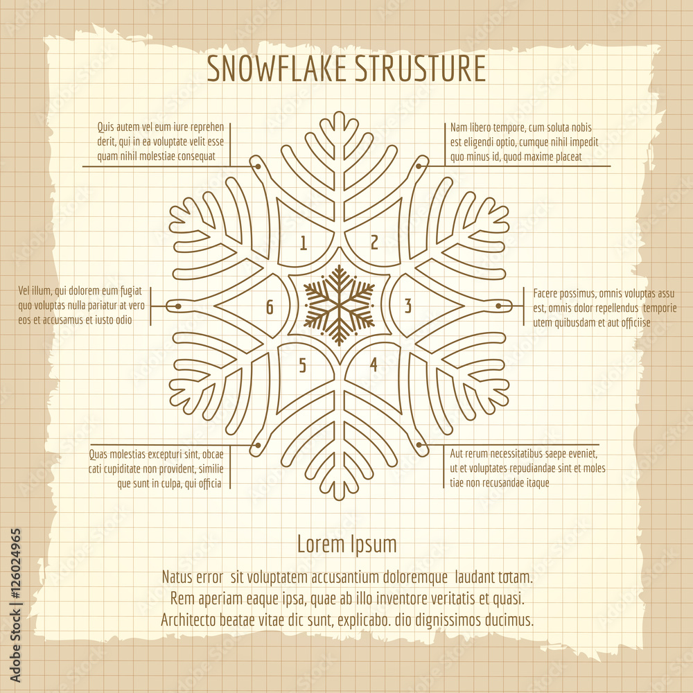 Snowflake structure vector. Vintage poster of snowflake structure