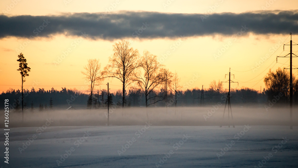cold morning in the field in winter cold morning in the field in winter